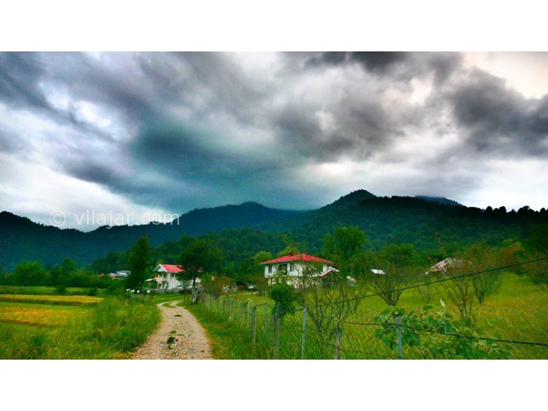 عکس شماره 703162 - ویلا ماسال چشم انداز جنگل و شالیزار - 