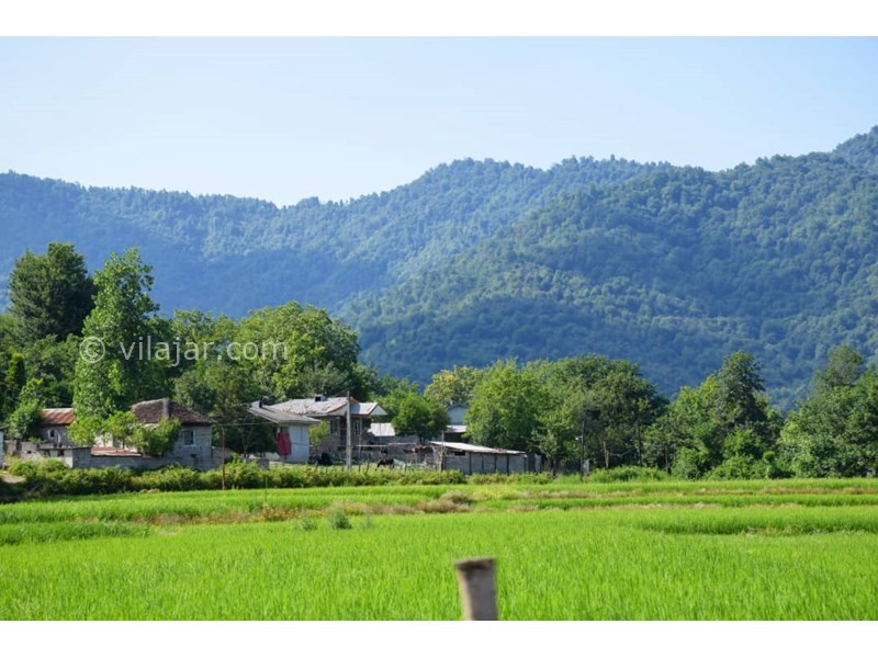 عکس شماره 703164 - ویلا ماسال چشم انداز جنگل و شالیزار - 