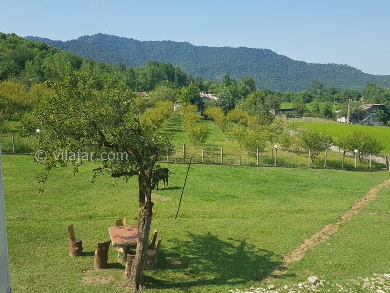 عکس شماره 703165 - ویلا ماسال چشم انداز جنگل و شالیزار - 