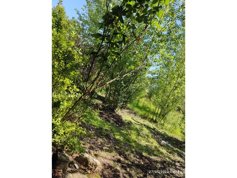 عکس شماره 703197 - اجاره خانه باغ روستایی نزدیک رشت -