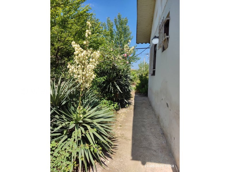 عکس شماره 703199 - اجاره خانه باغ روستایی نزدیک رشت - حیاط