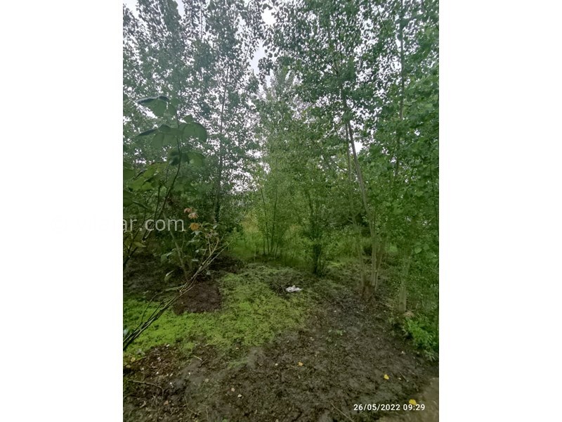 عکس شماره 703201 - اجاره خانه باغ روستایی نزدیک رشت -