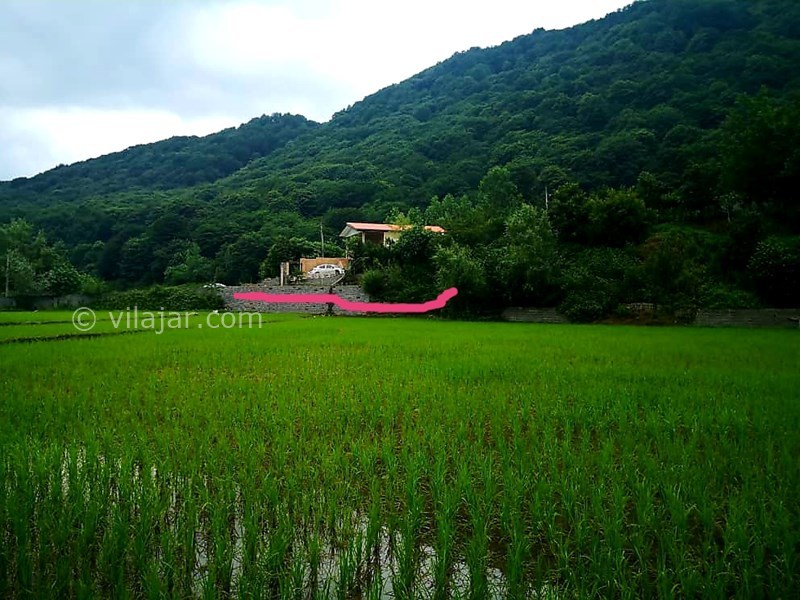عکس شماره 703421 - اجاره ویلا در جوارم سوادکوه - نمایی از فاصله دور