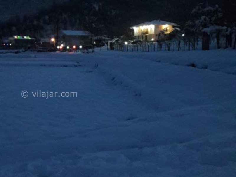 عکس شماره 703466 - ویلا ماسال چشم انداز جنگل و شالیزار - 