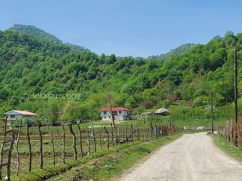 عکس شماره 703470 - ویلا ماسال چشم انداز جنگل و شالیزار - 