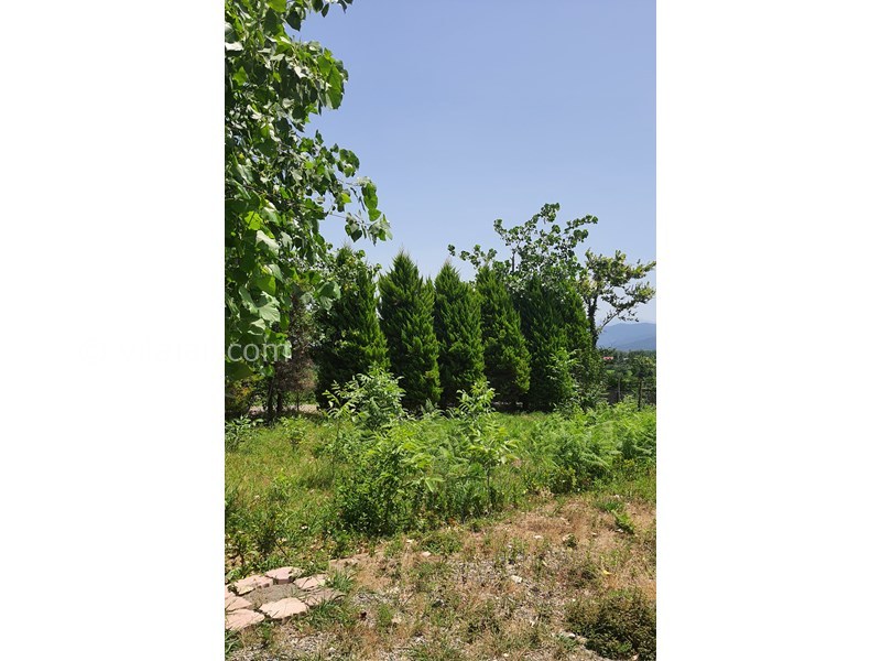 عکس شماره 704141 - اجاره ویلا نزدیک دریاچه در شفت - حیاط