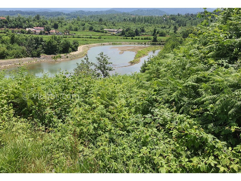 عکس شماره 704163 - اجاره ویلا نزدیک دریاچه در شفت - ویو طبقه دوم