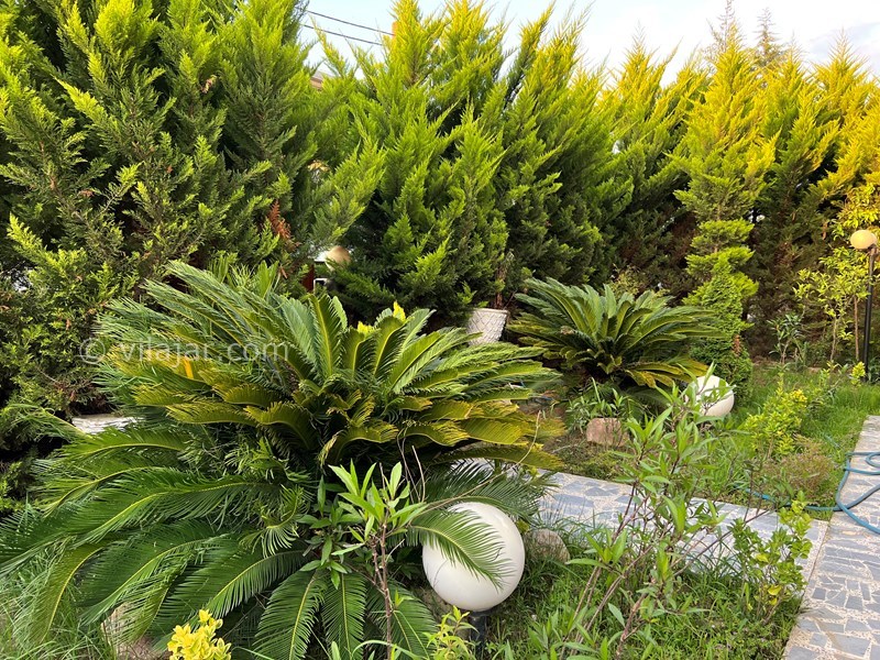 عکس شماره 704474 - اجاره ویلا استخردار در رویان - 