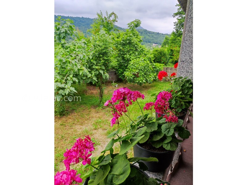 عکس شماره 704875 - اجاره ویلا جنگلی در ماسال - حیاط