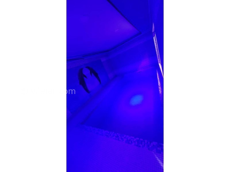 عکس شماره 705451 - اجاره ویلا استخردار سرخرود - 