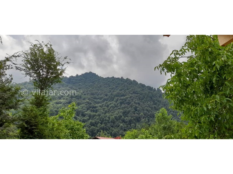 عکس شماره 705553 - اجاره ویلا چوبی جنگلی در ماسال -