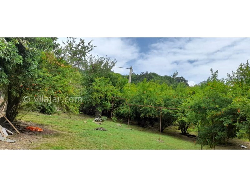 عکس شماره 705555 - اجاره ویلا چوبی جنگلی در ماسال -