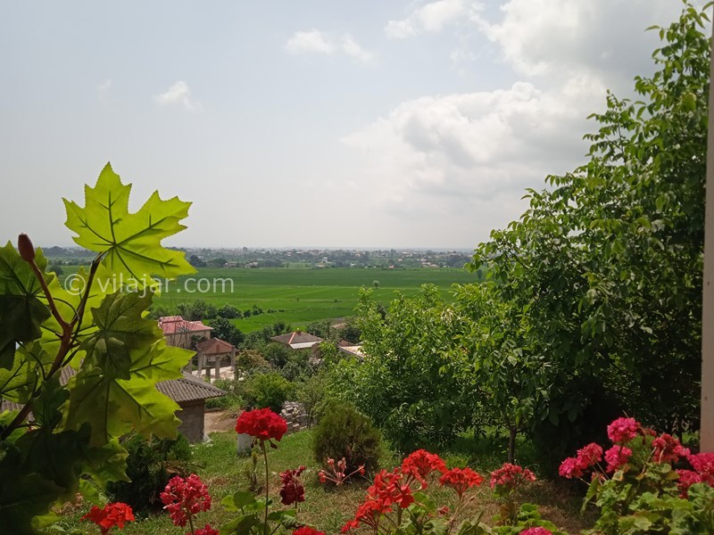 عکس شماره 706488 - اجاره ویلا در تالش نزدیک دریا - 