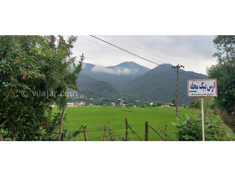 عکس شماره 706552 - رزرو ویلا باغ با چشم انداز جنگلی - 