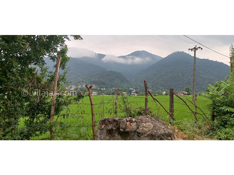 عکس شماره 706553 - رزرو ویلا باغ با چشم انداز جنگلی - 