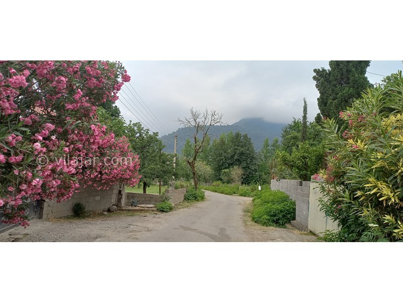 عکس شماره 706555 - رزرو ویلا باغ با چشم انداز جنگلی - 