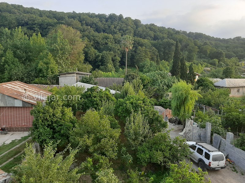 عکس شماره 706733 - اجاره ویلا در سوادکوه چای باغ - ویو از پنجره حال و تراس