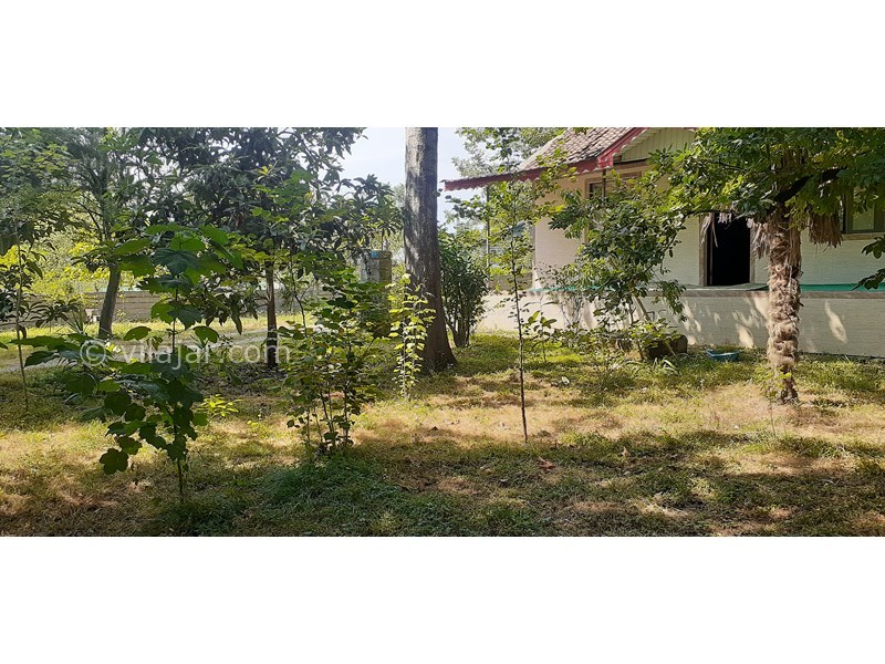 عکس شماره 706743 - اجاره ویلا در شاندرمن گیلان - 