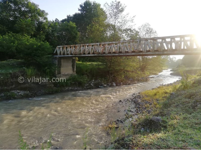 عکس شماره 706750 - اجاره ویلا در شاندرمن گیلان - 