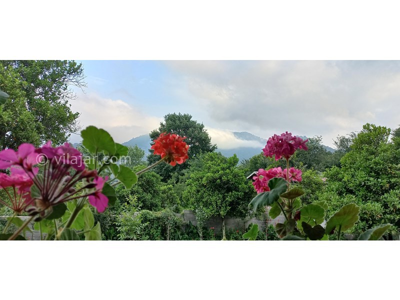 عکس شماره 706958 - رزرو ویلا باغ با چشم انداز جنگلی - 