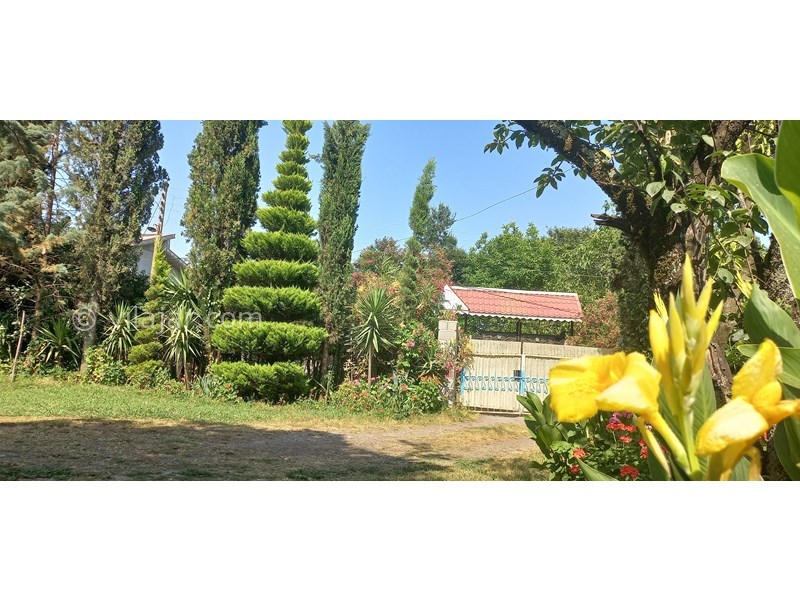 عکس شماره 706966 - رزرو ویلا باغ با چشم انداز جنگلی - 