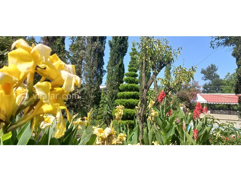 عکس شماره 706967 - رزرو ویلا باغ با چشم انداز جنگلی - 