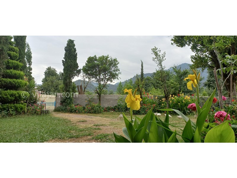 عکس شماره 706968 - رزرو ویلا باغ با چشم انداز جنگلی - 