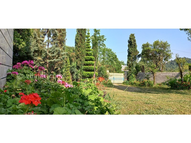 عکس شماره 706969 - رزرو ویلا باغ با چشم انداز جنگلی - 