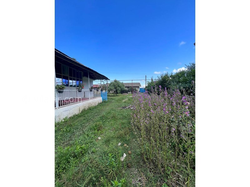 عکس شماره 707258 - اجاره خانه روستایی اطراف فومن - 