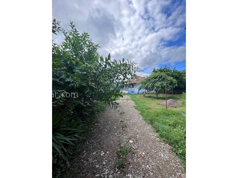 عکس شماره 707260 - اجاره خانه روستایی اطراف فومن - 