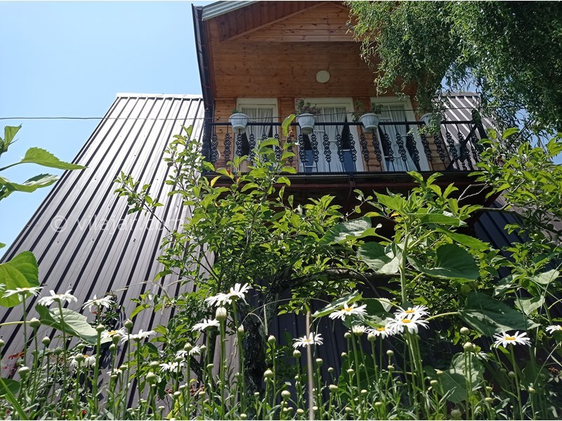 عکس شماره 707380 - اجاره ویلا چوبی در رضوانشهر -