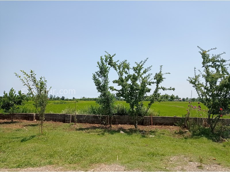 عکس شماره 707386 - اجاره ویلا چوبی در رضوانشهر -