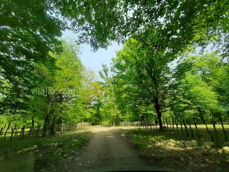 عکس شماره 707675 - اجاره ویلا جنگلی نزدیک بابل - 