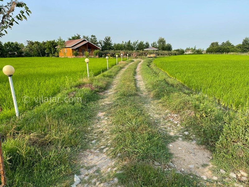 عکس شماره 708703 - اجاره ویلای چوبی در ماسال - 