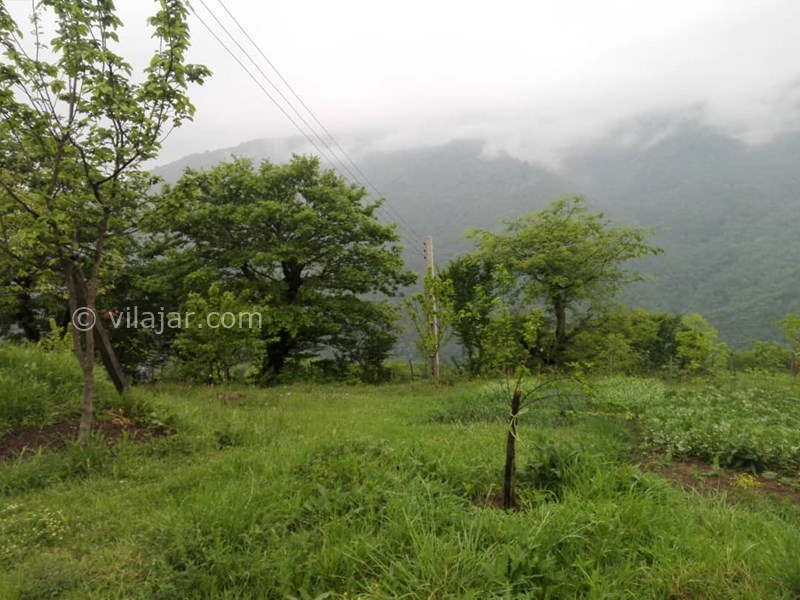 عکس شماره 709727 - اجاره ویلا سنتی جنگلی ییلاق تالش - 