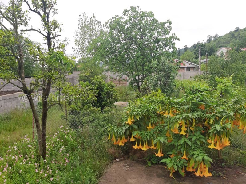 عکس شماره 709771 - اجاره ویلا دوبلکس در شاندرمن - 