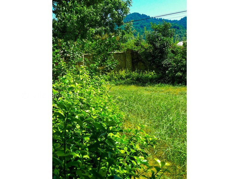 عکس شماره 709811 - اجاره ویلا در قلعه رودخان - 