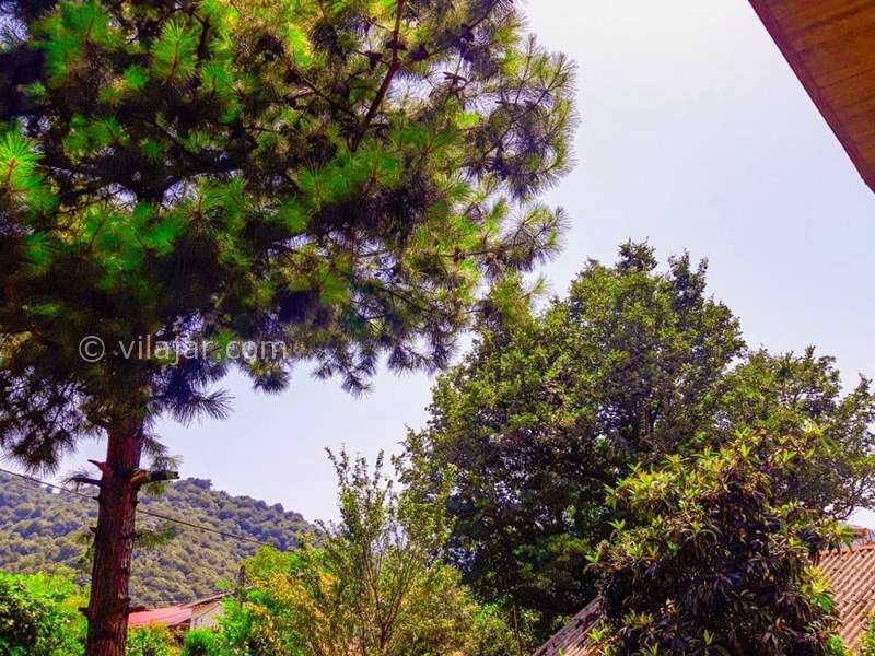 عکس شماره 709846 - اجاره ویلا در قلعه رودخان - 