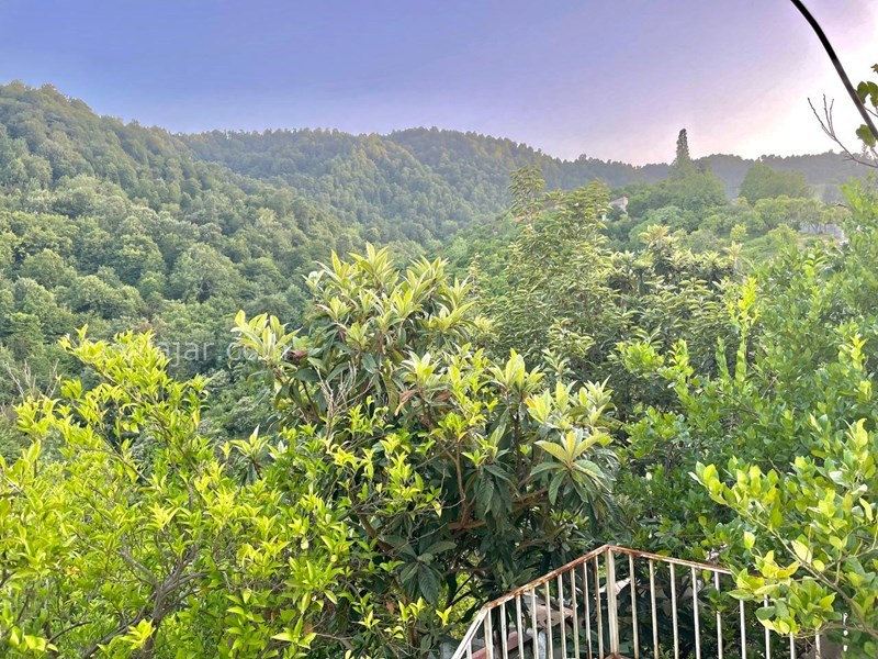 عکس شماره 710686 - اجاره ویلا در بام رامسر - 