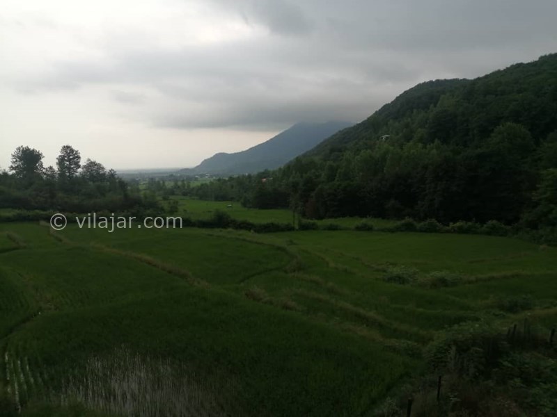 عکس شماره 710823 - اجاره ویلا در ماسال جنگلی - 