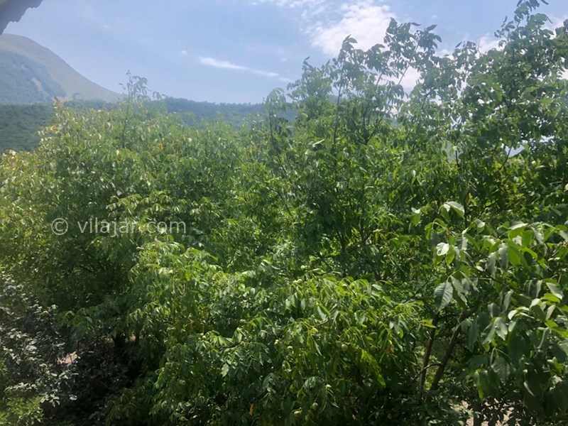 عکس شماره 711238 - اجاره خانه در ییلاق مریان تالش - 