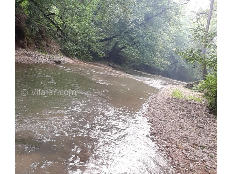 عکس شماره 712050 - اجاره ویلا در سوادکوه چای باغ - رود خانه نزدیک به اقامتگاه 