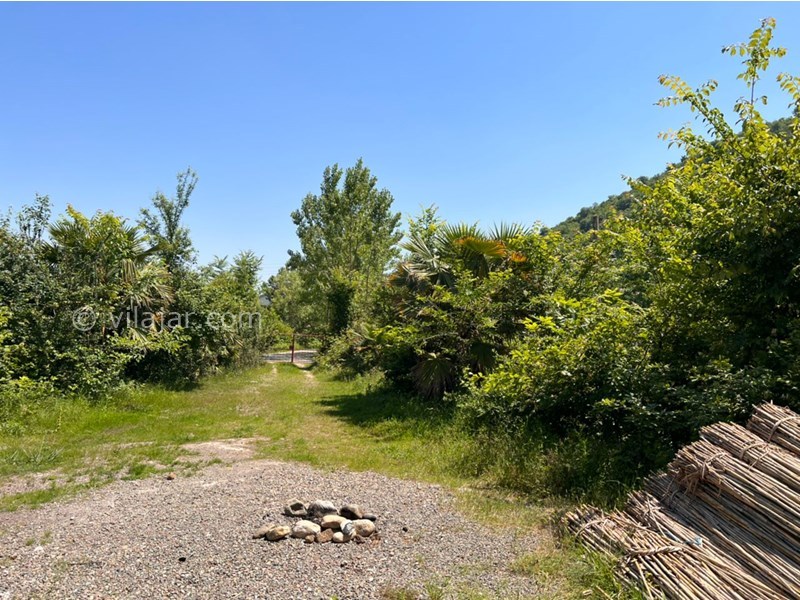 عکس شماره 712140 - اجاره ویلا باغ در ماسال کنار شالیزار - 