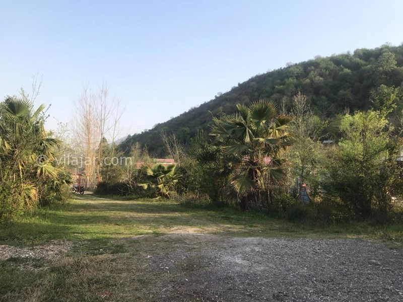 عکس شماره 712141 - اجاره ویلا باغ در ماسال کنار شالیزار - 