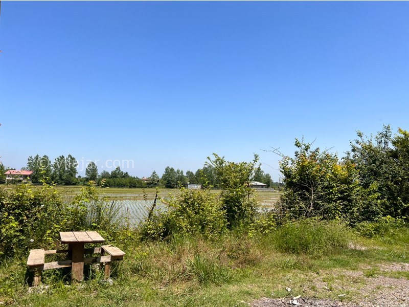 عکس شماره 712151 - اجاره ویلا باغ در ماسال کنار شالیزار - 