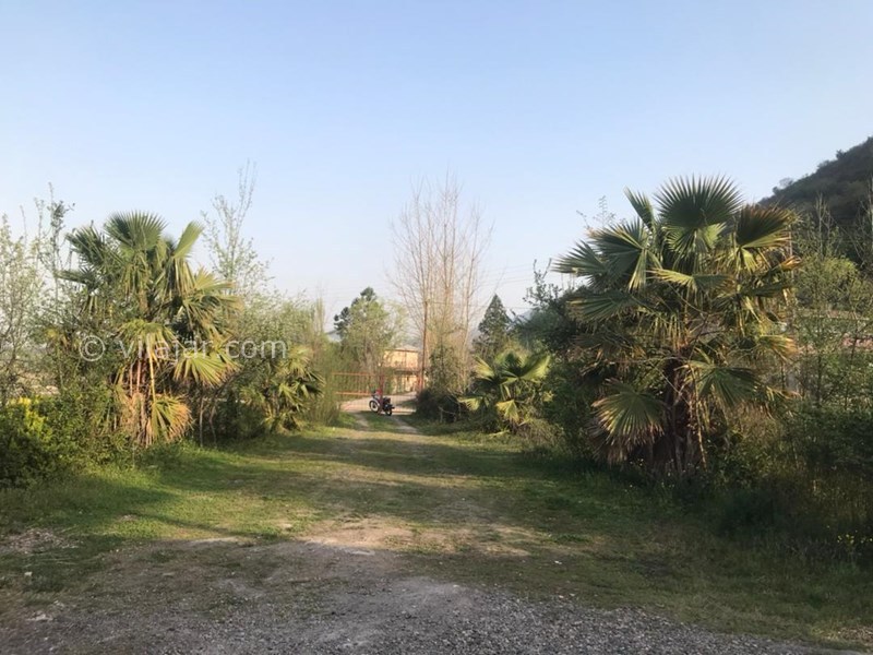 عکس شماره 712154 - اجاره ویلا باغ در ماسال کنار شالیزار - 