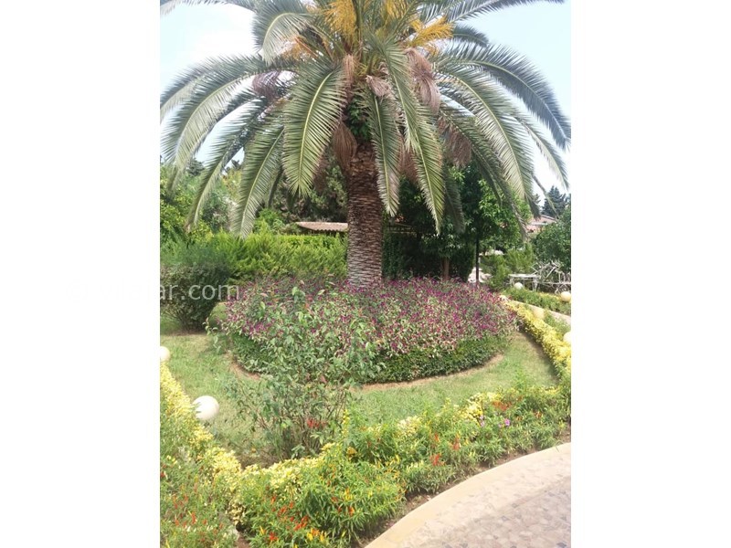 عکس شماره 713270 - اجاره ویلا با میز بیلیارد خزرشهر شمالی - 