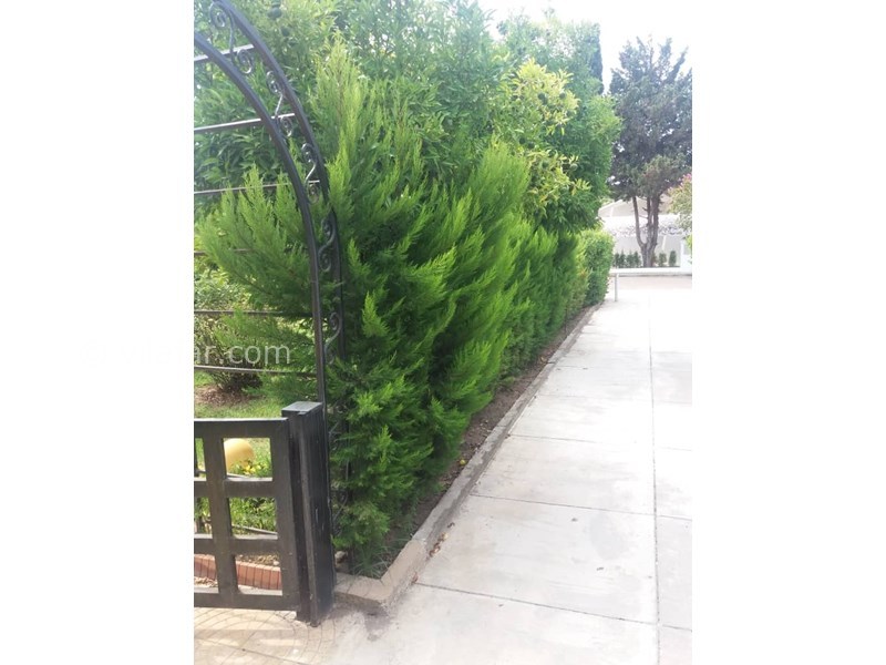 عکس شماره 713272 - اجاره ویلا با میز بیلیارد خزرشهر شمالی - 