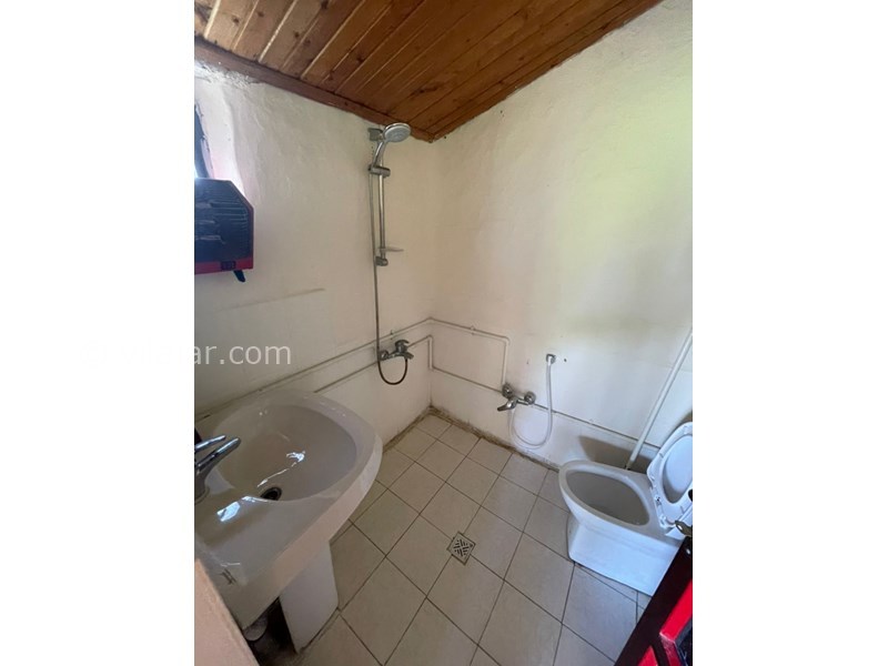 عکس شماره 713703 - اجاره ویلا در جاده جنگلی دالیخانی - 