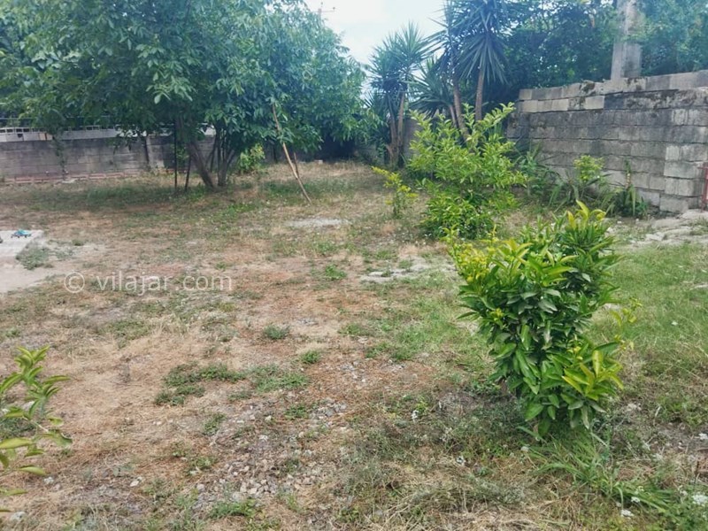 عکس شماره 713934 - اجاره ویلا در ماسال شاندرمن - 